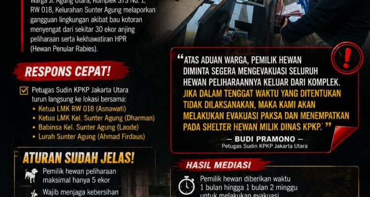 Sudin KPKP Jakarta Utara Bertindak Tegas, Pemilik Puluhan Anjing di Sunter Agung Diminta Segera Evakuasi Hewan Peliharaan 3