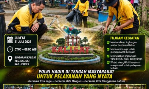 Polri Bersama Forkopimcam dan Masyarakat Gelar Kerja Bakti serta Penanaman Bunga di Bundaran Kalisat, Wujudkan Lingkungan Bersih dan Asri 11