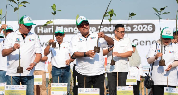 Pemprov DKI Tanam 21.060 Mangrove di Lima Lokasi Pesisir 1
