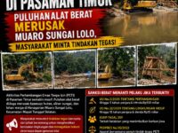 Marak PETI di Pasaman Timur: Puluhan Alat Berat Merusak Muaro Sungai Lolo, Masyarakat Minta Tindakan Tegas 11