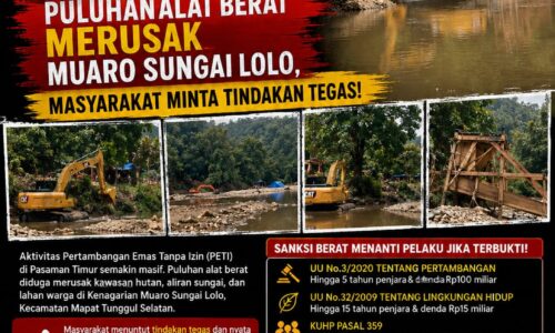Marak PETI di Pasaman Timur: Puluhan Alat Berat Merusak Muaro Sungai Lolo, Masyarakat Minta Tindakan Tegas 11