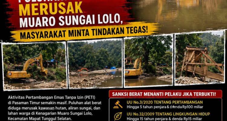Marak PETI di Pasaman Timur: Puluhan Alat Berat Merusak Muaro Sungai Lolo, Masyarakat Minta Tindakan Tegas 2