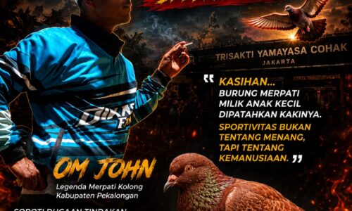 Ketua Umum GMOCT Bertemu Om John di Pekalongan, Soroti Dugaan Tindakan Kekerasan terhadap Burung Merpati Milik Anak Kecil 7