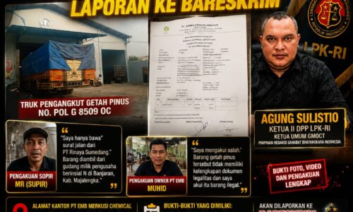 Owner PT EMB Akui Getah Pinus Tanpa Dokumen Lengkap, Agung Sulistio Siapkan Laporan ke Bareskrim 6