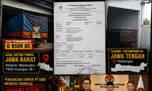 Getah Pinus Tanpa Dokumen Lengkap Masuk PT EMB, LPK-RI Dorong Bareskrim Bongkar Rantai Pasok 6