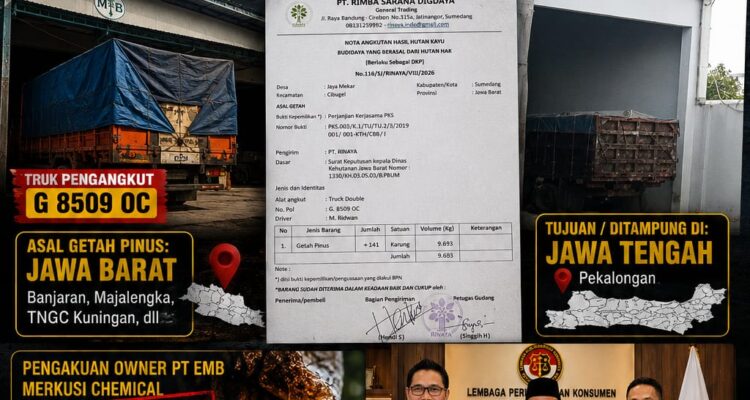 Getah Pinus Tanpa Dokumen Lengkap Masuk PT EMB, LPK-RI Dorong Bareskrim Bongkar Rantai Pasok 2