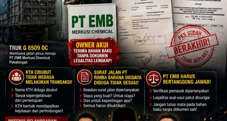 PT EMB di Pusaran Dugaan Getah Pinus Bermasalah: Nama KTH Cibubut Disorot, PKS Dipertanyakan, Surat Jalan Diduga Tak Beres 1
