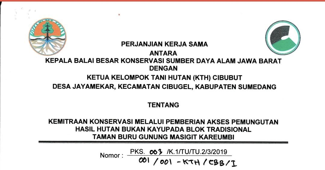 PKS SUDAH BERAKHIR, PENGIRIMAN MASIH BERJALAN: SIAPA DI BALIK DUGAAN GETAH PINUS ILEGAL KE PT EMB? 2 PKS SUDAH BERAKHIR, PENGIRIMAN MASIH BERJALAN: SIAPA DI BALIK DUGAAN GETAH PINUS ILEGAL KE PT EMB? 2