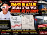 PKS SUDAH BERAKHIR, PENGIRIMAN MASIH BERJALAN: SIAPA DI BALIK DUGAAN GETAH PINUS ILEGAL KE PT EMB? 11