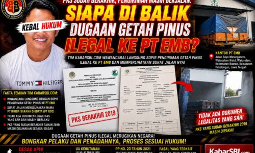 PKS SUDAH BERAKHIR, PENGIRIMAN MASIH BERJALAN: SIAPA DI BALIK DUGAAN GETAH PINUS ILEGAL KE PT EMB? 11