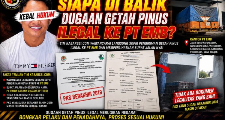 PKS SUDAH BERAKHIR, PENGIRIMAN MASIH BERJALAN: SIAPA DI BALIK DUGAAN GETAH PINUS ILEGAL KE PT EMB? 1