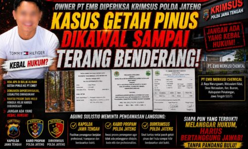 KASUS GETAH PINUS MASUK KRIMSUS POLDA JATENG, AGUNG DESAK KAPOLDA, PROPAM & DIRKRIMSUS BUKA TERANG RANTAI PASOK PT EMB 10