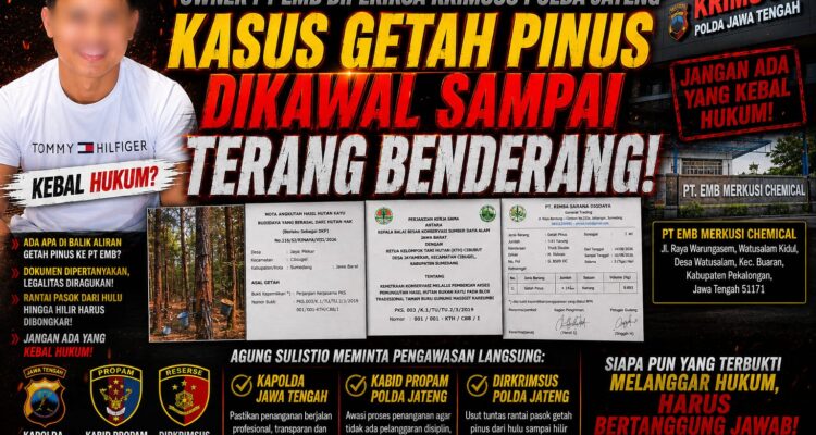 KASUS GETAH PINUS MASUK KRIMSUS POLDA JATENG, AGUNG DESAK KAPOLDA, PROPAM & DIRKRIMSUS BUKA TERANG RANTAI PASOK PT EMB 1