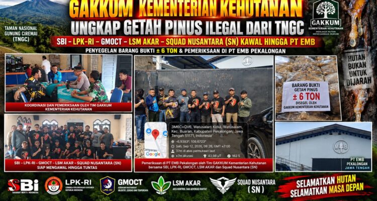 GAKKUM Kementerian Kehutanan Ungkap Getah Pinus Ilegal dari TNGC, SBI–LPK-RI–GMOCT–LSM AKAR–SN Kawal hingga PT EMB 2