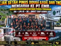 Jejak Getah Pinus Diduga Ilegal dari TNGC Mengarah ke PT EMB: Gakkum Kementerian Kehutanan Periksa Perusahaan, SBI–LPK-RI–SN–GMOCT Siap Kawal 11