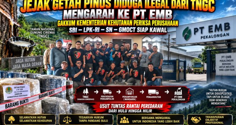 Jejak Getah Pinus Diduga Ilegal dari TNGC Mengarah ke PT EMB: Gakkum Kementerian Kehutanan Periksa Perusahaan, SBI–LPK-RI–SN–GMOCT Siap Kawal 1