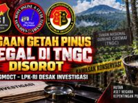 Apresiasi Wamen Desa untuk Paguyuban Siliwangi Majakuning Disorot, SBI–GMOCT–LPK-RI Desak Investigasi Dugaan Getah Pinus Ilegal di TNGC 14