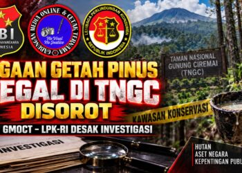 Apresiasi Wamen Desa untuk Paguyuban Siliwangi Majakuning Disorot, SBI–GMOCT–LPK-RI Desak Investigasi Dugaan Getah Pinus Ilegal di TNGC 18