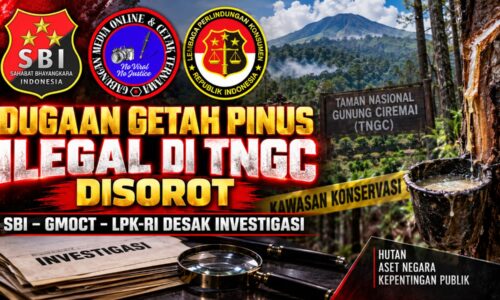 Apresiasi Wamen Desa untuk Paguyuban Siliwangi Majakuning Disorot, SBI–GMOCT–LPK-RI Desak Investigasi Dugaan Getah Pinus Ilegal di TNGC 10
