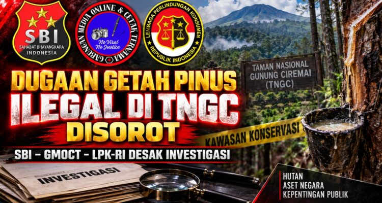 Apresiasi Wamen Desa untuk Paguyuban Siliwangi Majakuning Disorot, SBI–GMOCT–LPK-RI Desak Investigasi Dugaan Getah Pinus Ilegal di TNGC 1
