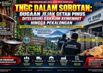 TNGC DALAM SOROTAN: DUGAAN JEJAK GETAH PINUS DITELUSURI GAKKUM KEMENHUT HINGGA PEKALONGAN 16