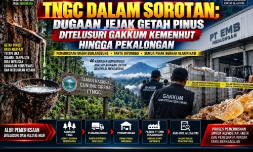 TNGC DALAM SOROTAN: DUGAAN JEJAK GETAH PINUS DITELUSURI GAKKUM KEMENHUT HINGGA PEKALONGAN 12