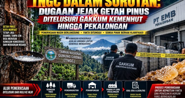 TNGC DALAM SOROTAN: DUGAAN JEJAK GETAH PINUS DITELUSURI GAKKUM KEMENHUT HINGGA PEKALONGAN 1