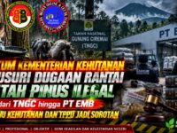 GAKKUM Kementerian Kehutanan Telusuri Dugaan Rantai Getah Pinus Ilegal dari TNGC hingga PT EMB, Aspek UU Kehutanan dan TPPU Jadi Sorotan 15