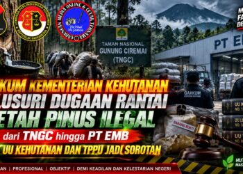 GAKKUM Kementerian Kehutanan Telusuri Dugaan Rantai Getah Pinus Ilegal dari TNGC hingga PT EMB, Aspek UU Kehutanan dan TPPU Jadi Sorotan 17