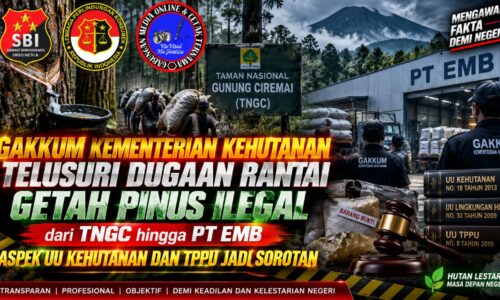 GAKKUM Kementerian Kehutanan Telusuri Dugaan Rantai Getah Pinus Ilegal dari TNGC hingga PT EMB, Aspek UU Kehutanan dan TPPU Jadi Sorotan 6