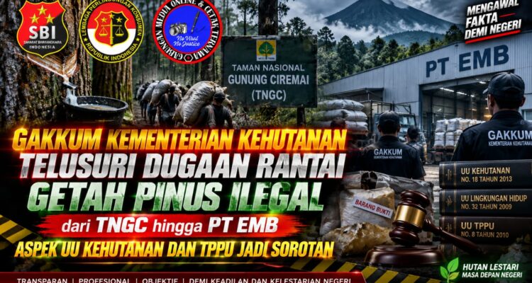 GAKKUM Kementerian Kehutanan Telusuri Dugaan Rantai Getah Pinus Ilegal dari TNGC hingga PT EMB, Aspek UU Kehutanan dan TPPU Jadi Sorotan 1