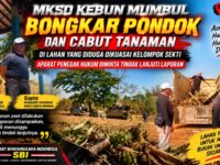 MKSO Kebun Mumbul Bongkar Pondok dan Cabut Tanaman di Lahan yang Diduga Dikuasai Kelompok Sekti, Aparat Diminta Tindak Lanjuti Laporan 9