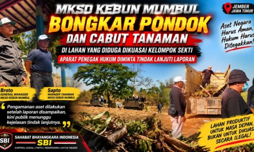 MKSO Kebun Mumbul Bongkar Pondok dan Cabut Tanaman di Lahan yang Diduga Dikuasai Kelompok Sekti, Aparat Diminta Tindak Lanjuti Laporan 11