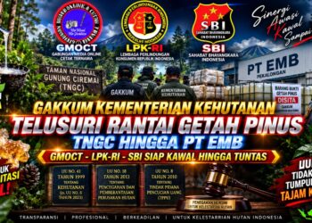 GAKKUM KEMENTERIAN KEHUTANAN TELUSURI RANTAI GETAH PINUS TNGC HINGGA PT EMB, GMOCT–LPK-RI–SBI SIAP KAWAL HINGGA TUNTAS 17