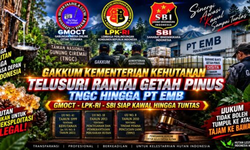 GAKKUM KEMENTERIAN KEHUTANAN TELUSURI RANTAI GETAH PINUS TNGC HINGGA PT EMB, GMOCT–LPK-RI–SBI SIAP KAWAL HINGGA TUNTAS 10