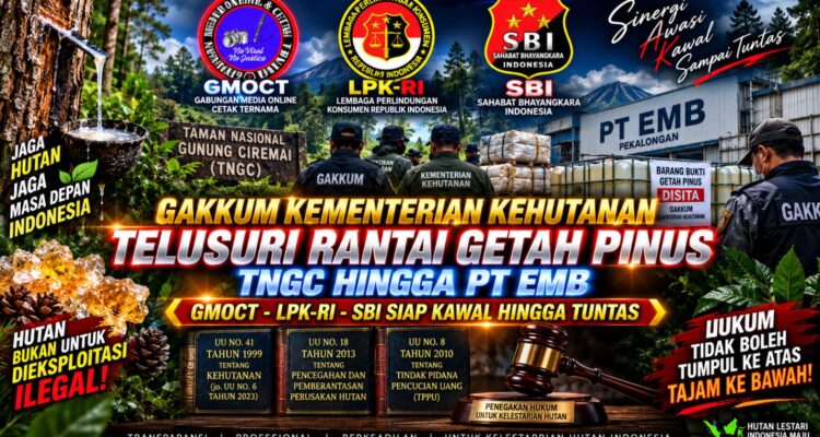 GAKKUM KEMENTERIAN KEHUTANAN TELUSURI RANTAI GETAH PINUS TNGC HINGGA PT EMB, GMOCT–LPK-RI–SBI SIAP KAWAL HINGGA TUNTAS 1