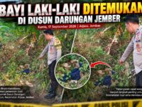 BAYI LAKI-LAKI DITEMUKAN DI DUSUN DARUNGAN JEMBER, APARAT TELUSURI ASAL-USULNYA 11