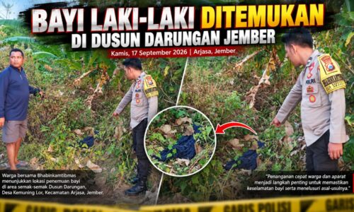 IMG-20260917-WA0000 BAYI LAKI-LAKI DITEMUKAN DI DUSUN DARUNGAN JEMBER, APARAT TELUSURI ASAL-USULNYA 3