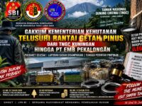GAKKUM KEMENTERIAN KEHUTANAN TUNTASKAN PULBAKET GETAH PINUS TNGC, RANTAI PENAMPUNGAN HINGGA PT EMB DIMINTA DIBUKA TERANG 10