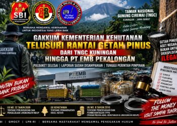 GAKKUM KEMENTERIAN KEHUTANAN TUNTASKAN PULBAKET GETAH PINUS TNGC, RANTAI PENAMPUNGAN HINGGA PT EMB DIMINTA DIBUKA TERANG 16