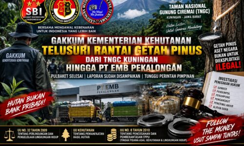 GAKKUM KEMENTERIAN KEHUTANAN TUNTASKAN PULBAKET GETAH PINUS TNGC, RANTAI PENAMPUNGAN HINGGA PT EMB DIMINTA DIBUKA TERANG 10