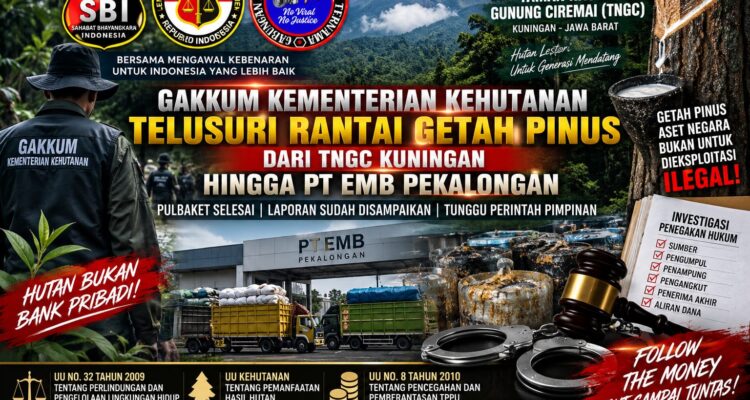 GAKKUM KEMENTERIAN KEHUTANAN TUNTASKAN PULBAKET GETAH PINUS TNGC, RANTAI PENAMPUNGAN HINGGA PT EMB DIMINTA DIBUKA TERANG 1