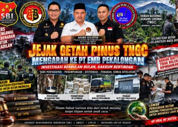 JEJAK GETAH PINUS TNGC MENGARAH KE PT EMB, GAKKUM PERIKSA OWNER DAN KARYAWAN, AGUNG: KAWAL SAMPAI TERANG-BENDERANG 18