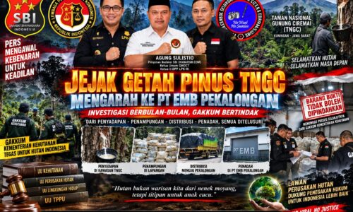 JEJAK GETAH PINUS TNGC MENGARAH KE PT EMB, GAKKUM PERIKSA OWNER DAN KARYAWAN, AGUNG: KAWAL SAMPAI TERANG-BENDERANG 10