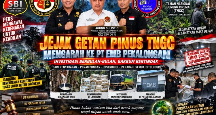 JEJAK GETAH PINUS TNGC MENGARAH KE PT EMB, GAKKUM PERIKSA OWNER DAN KARYAWAN, AGUNG: KAWAL SAMPAI TERANG-BENDERANG 2