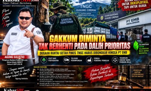 Gakkum Diminta Tak Berhenti pada Dalih Prioritas, Dugaan Rantai Getah Pinus TNGC Harus Dibongkar hingga PT EMB 10