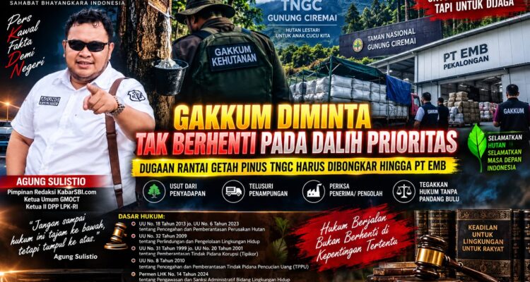 Gakkum Diminta Tak Berhenti pada Dalih Prioritas, Dugaan Rantai Getah Pinus TNGC Harus Dibongkar hingga PT EMB 1