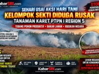 Sehari Usai Aksi Hari Tani, Tanaman Karet PTPN I Region 5 Diduga Dirusak Kelompok Sekti, Aparat Diminta Bertindak 11