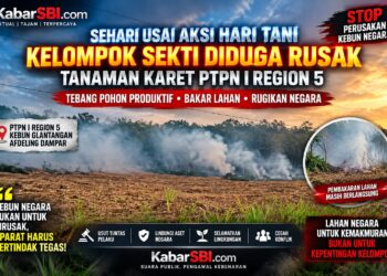 Sehari Usai Aksi Hari Tani, Tanaman Karet PTPN I Region 5 Diduga Dirusak Kelompok Sekti, Aparat Diminta Bertindak 1