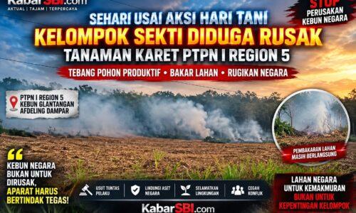 Sehari Usai Aksi Hari Tani, Tanaman Karet PTPN I Region 5 Diduga Dirusak Kelompok Sekti, Aparat Diminta Bertindak 12